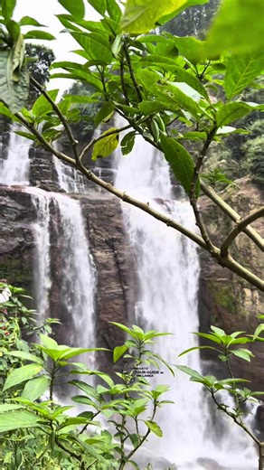 Privatetourguideinsrilanka on TikTok