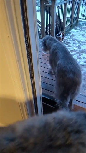 TIDT - Things I'm doing today. Episode 1406.