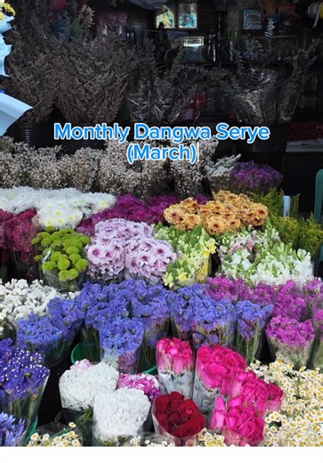 Exploring Dangwa Flower Market: A Celebration of Blooms