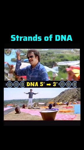 ThiNK BIOLOGY (ThiNK VISION) | Repeat uh 🔁 🔥🤣 - Reverse Complement uh 🔥🤣🧬 The two strands of DNA are also antiparallel, meaning that one strand runs from 5' to 3' while... | Instagram
