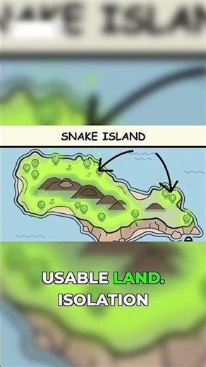 The Deadliest Island on Earth 🐍 #snakeisland #brazil #danger