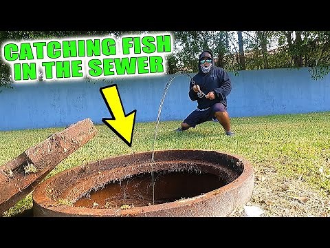 Man CATCHES Fish in SEWER!!!