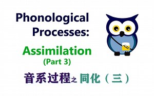 【语言学】同化（三）| Phonological Processes: Assimilation (Part 3)