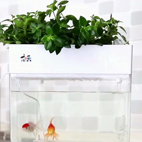 Hydroponic Garden Aquaponic Fish Tank Plants Growing System Self-Cleaning Seed Sprouter Tray
