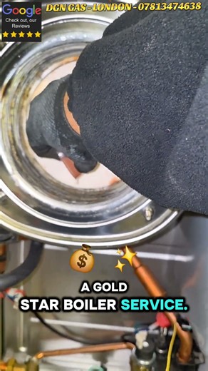 Gold Star Boiler Service: Training the Next Gen! 🛠️