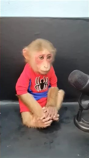 😂😂😂😂😂 #funnyvideos