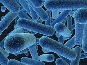 Groundbreaking Research on Importance of Bacteria