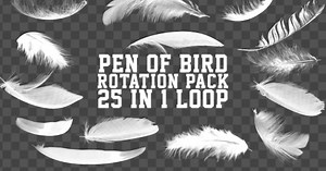 Rotation Feather Pack