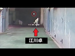 江川卓の投球練習！伸びのある速球が凄い！