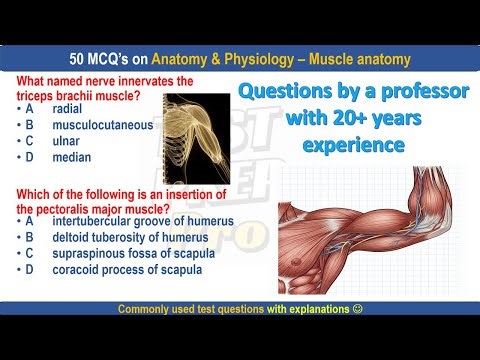 50 Muscle anatomy practice questions by professor | muscle anatomy MCQs | #muscleanatomy
