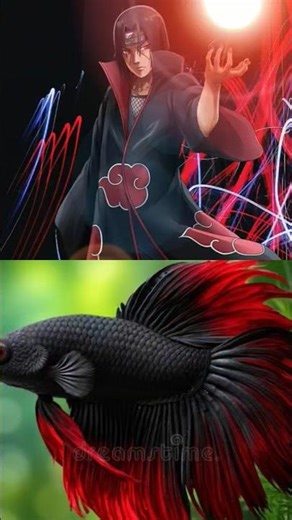 NARUTO CHARACTER AND FISH #animieeditz #editing #naruto #narutoshippuden