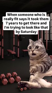 1.7M views · 27K reactions | NO, BUT IF YOU JUST GIVE ME 10 WEEKS I CAN INCREASE YOUR BENCH PRESS . #weightloss #diet #StrengthTraining #strong #funny #goals #comedy #cat | mtownmonsta | Facebook