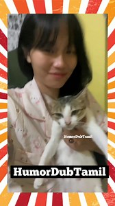 2.7K views · 4.8K reactions | சோம்பேறி VIP | #humordubtamil #funnyshorts #shortsfeed #funny #cat #funnypets #dogfunnyvideos #cat #cats #funnycat #cutecat #catlovers #catlovers #cats_of_instagram #kitty #catstagram #reelsinstagram #ரீல்ஸ்#pet #pets #petLover #petstagram #funny #cute #funnyanimals | Humordubtamil | Facebook