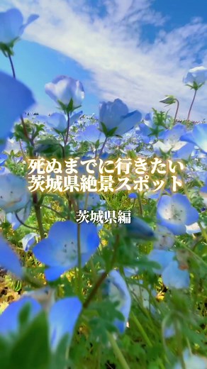 茨城県の絶景観光スポットを探そう！