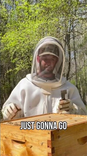 Beekeeping Secrets: Effortless Hive Inspection & Splitting #shorts
