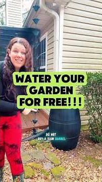 How to set up a rain barrel to collect rain water 💧 ⬇️ Read more in description