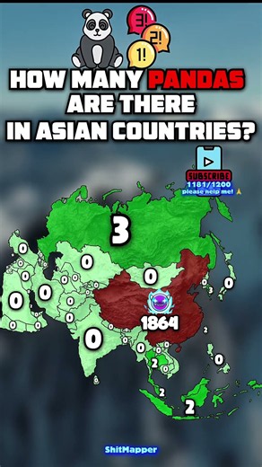 How many pandas are there in your country?🐼 #shorts #map #asia #panda #geography