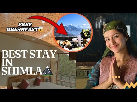 Best Homestay In Shimla 🏔️ | Full Tour, Room Prices & FREE Breakfast 😱