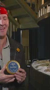 $1,600 for a Tiny Tin of Fish Eggs?! 💸