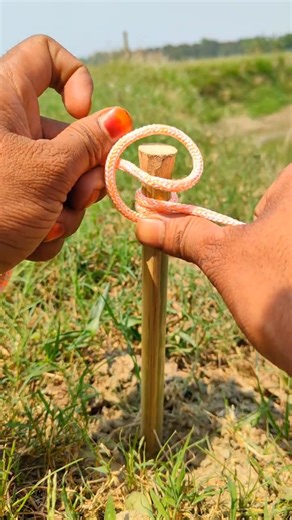 Try This Genius Trick Before You Skip 👀🔥 #camping #knowledge #learning
