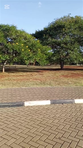 just an update 😍😍#inthelifeofsandie #campuslife #smallbusinessowner #ONGOD #foryoupage