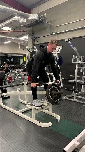 Cybex T Bar Row Machine