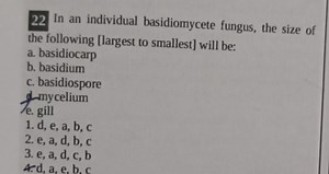 22 In an individual basidiomycete fungus, the size of the follo... | Filo