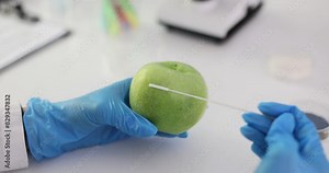 Scientist holds apple and take sample with sterile swab for laboratory analysis