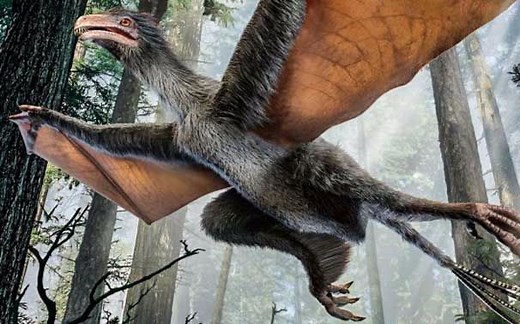 纪录片：最大的飞行生物