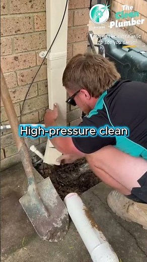 Tree Roots in Sewer Pipe | Drain Cleaning #thecleanplumber
