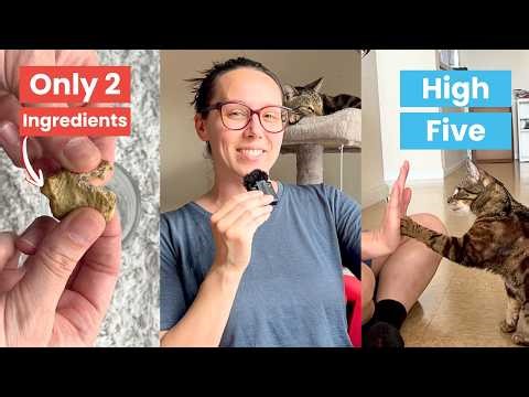 No more dry treats for clicker training! Use these healthy homemade cat treats instead