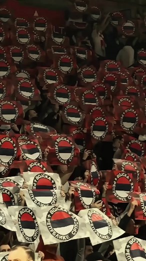 Exciting Stadium Crowd Cheering for Sports Event