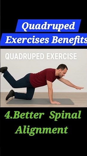 Quadruped Exercises Benefits 👌