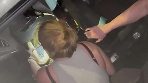 Firefighters dismantle woman's car after slippery python hides inside