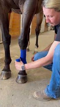 How to polo wrap your horses legs! Quick and easy!