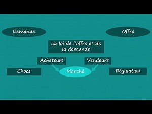 Introduction à la loi de l'offre et de la demande