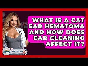 What Is A Cat Ear Hematoma And How Does Ear Cleaning Affect It? - Ask A Pet Vet