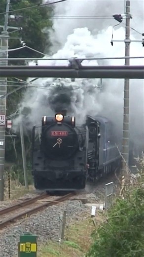 房総に響いた汽笛 D51-498試運転 鵜原～上総興津 2008年