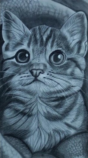 Realistic Cat Drawing Tutorial 🐱 | How to Draw a Realistic Cat 🥰Hyper Realistic Cat Drawing ✏️