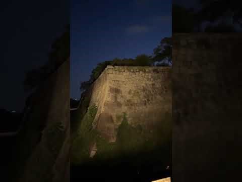 20250817 芸術学講座 第９９２５０講 美のプラットフォーム 妙円寺デジタル美術館 大阪 大阪城