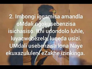 Inkondlo: Udondolo: UMBUZO OMUDE: UMQONDO OSOBALA. Ibanga le-11