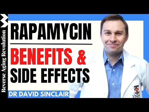 Rapamycin | Dr David Sinclair Interview Clips