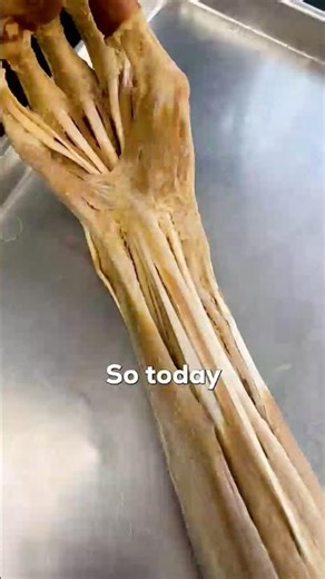 How Rabies Spreads From Bite to Brain