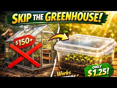 Don’t Build a Greenhouse Until You See These 10 Dollar Tree Hacks (They Actually Work)