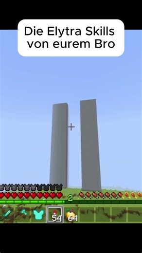 Die Elytra Skills von eurem Bro...