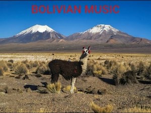 MÚSICA INSTRUMENTAL BOLIVIANA