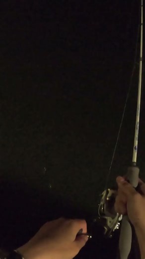 Pile of White Perch Instant Catch