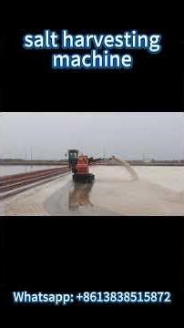 🧂Salt Harvesting Machine Working Video | Fast and Efficient Sea Salt Collection Process