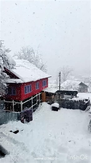 #snow #snowfall #srinagar #jammukashmir #scenery #view #awesome #shorts #video #ytshorts #lovely 😍