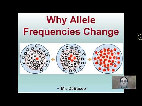 Why Allele Frequencies Change